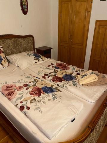 Apartma Jozica In Toncek Sveti Jurij ob Scavnici Eksteriør billede