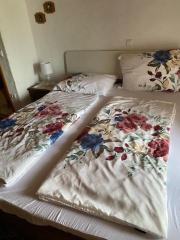 Apartma Jozica In Toncek Sveti Jurij ob Scavnici Eksteriør billede